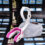 oral mart strapped youth mouth guard with strap pink fangs