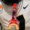 Charging Lion Football Mouth Guard with Strap